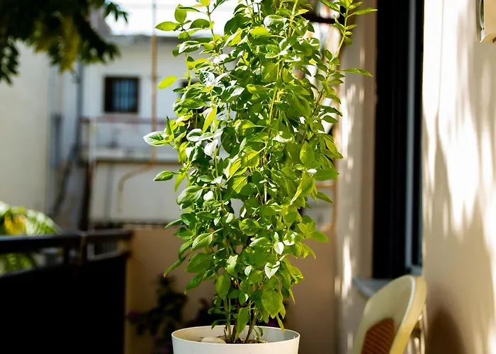 La Famillia Chania Center Χανιά