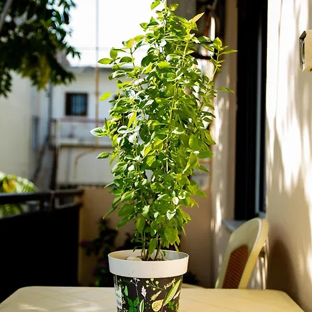 La Famillia Chania Center Hriszí Aktí Haniá